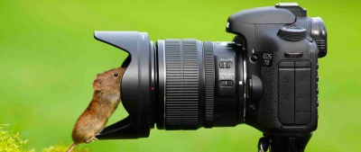 Как правильно ухаживать за объективом фотоаппарата